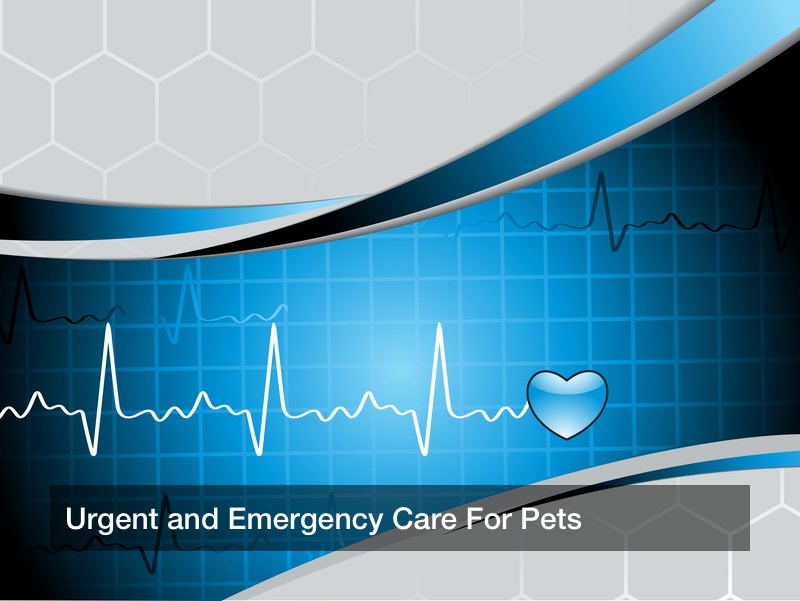 Urgent and Emergency Care For Pets