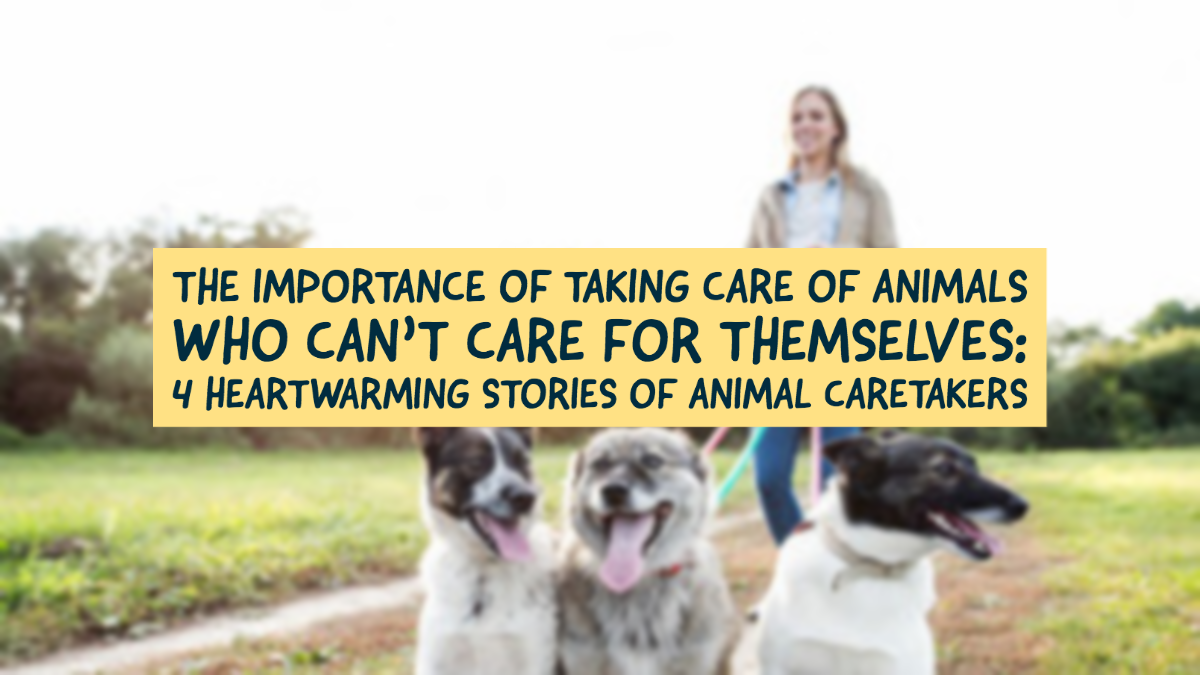 The Importance of Taking Care of Animals Who Cant Care For Themselves: 4 Heartwarming Stories of Animal Caretakers