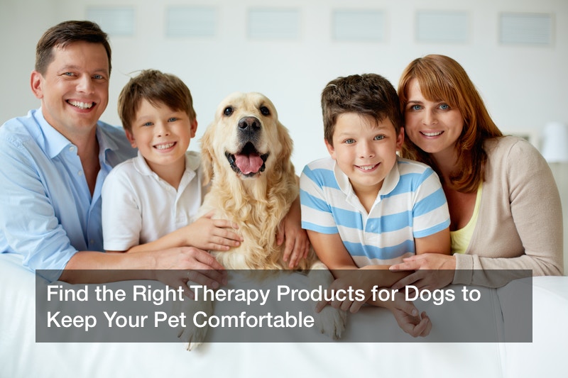 Find the Right Therapy Products for Dogs to Keep Your Pet Comfortable