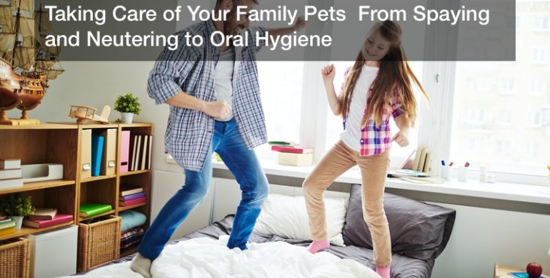 Taking Care of Your Family Pets From Spaying and Neutering to Oral Hygiene