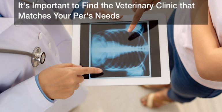 It’s Important to Find the Veterinary Clinic that Matches Your Per’s Needs
