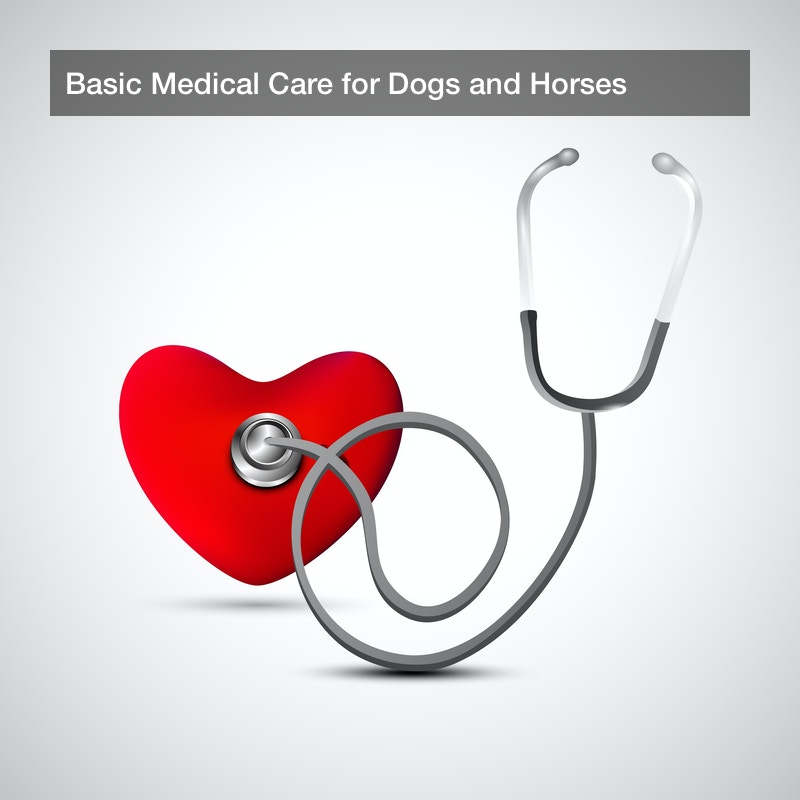 Basic Medical Care for Dogs and Horses