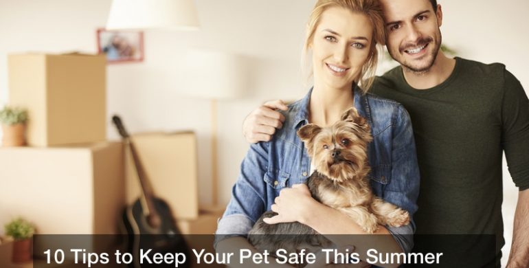 10 Tips to Keep Your Pet Safe This Summer