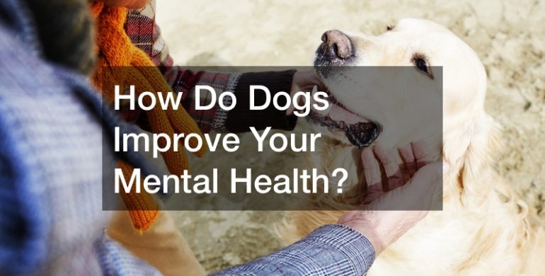 How Do Dogs Improve Your Mental Health?