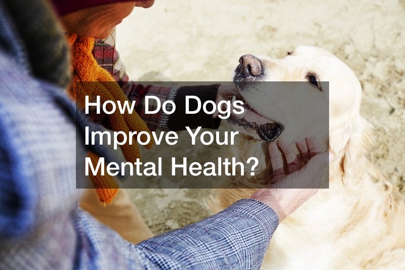 How Do Dogs Improve Your Mental Health?