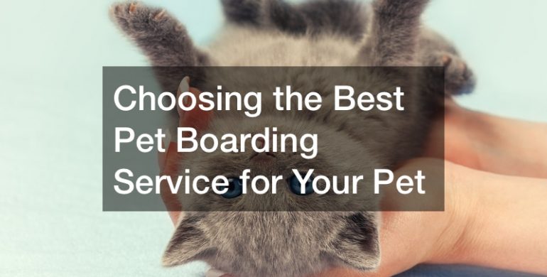 Choosing the Best Pet Boarding Service for Your Dog or Cat - Best