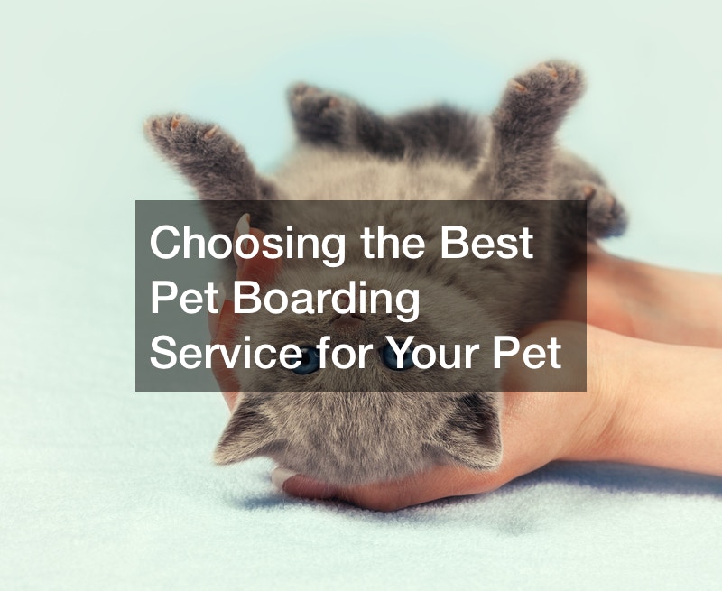 Choosing the Best Pet Boarding Service for Your Dog or Cat