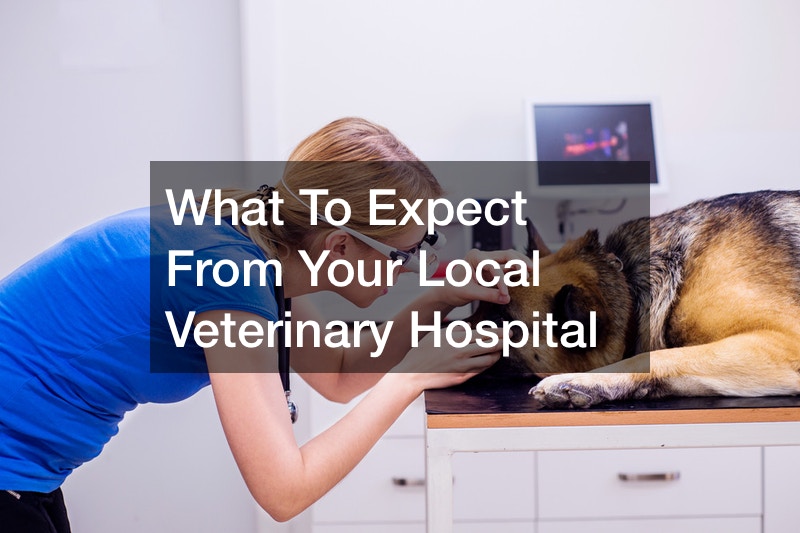 What To Expect From Your Local Veterinary Hospital