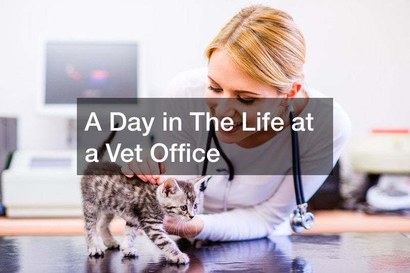 A Day in The Life at a Vet Office