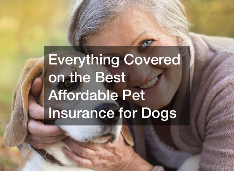 Everything Covered on the Best Affordable Pet Insurance for Dogs