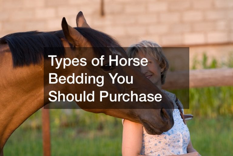 Types of Horse Bedding You Should Purchase Best Veterinarian Review