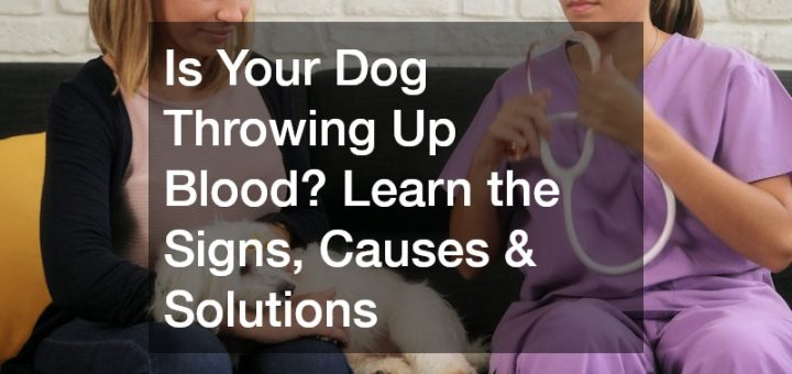 dog throwing up blood
