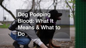 dog pooping blood